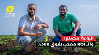 الزراعة مصنع .. والعائد ممكن يفوق 300% | زراعة وبزنس