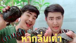 อาบน้ำให้เจ้าเต่าน้อย🐢