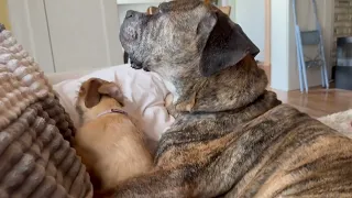 HOW I LIVE HAPPILY BELOW THE POVERTY LINE!