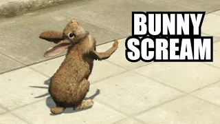 Bunny ATTACK (GTA 5 RP)
