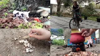 എന്റെ കുഞ്ഞു വീട്ടിലെ Day in my life || Day in my life || Ranias miniature Kitchen || Mini World ||