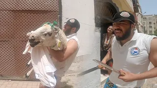 المشرمل فاش كيبغي يدير فيها جزار نهار العيد أوكيندم