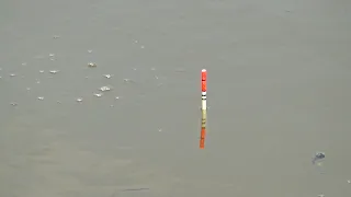 Best Fishing Video Big catch in Bor Beel Area