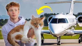 i flew my cat across the country... (bad idea)