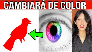 Haré que Cambie de Color, Las mejores ilusiones Opticas