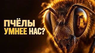 100 фактов о пчёлах | Тайная жизнь самого умного существа на планете