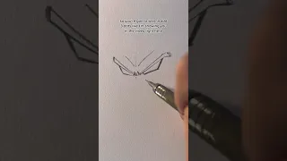 This is how to draw Vegeta || Jmarron