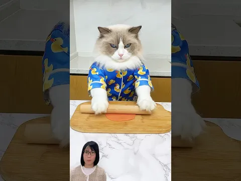 Chú mèo làm kẹo cao su siêu cay tặng mẹ #shorts