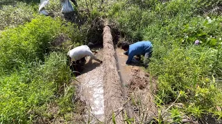 BONGKAR RUMPUT GANJA TERNYATA DIDALAMNYA TEMPAT BERPULUH PULUH KILO IKAN TOMAN