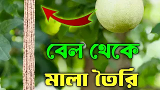 বেল থেকে মালা তৈরি , Making garlands from bell fruits!😱  #viral #making