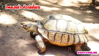 เพลงเต่า ต้วมเตี้ยม เพลงเด็ก เพลงสำหรับเด็ก by kidstvonline