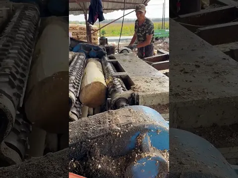 Tree straightness polishing process- Good tools and machinery make work easy