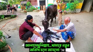 আলহামদুলিল্লাহ,,খামারে নতুন অতিথি চলে আসলো 🐄