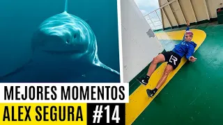MEJORES MOMENTOS #14 🔥  - Alex Segura