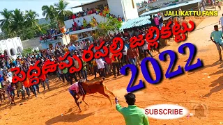 #peddaupparapalli pedda uppara palli jallikattu 2022 #peddaupparapalli #jallikattu