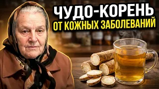 Корень лопуха от кожных заболеваний