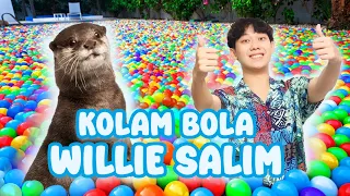 MAIN KE KOLAM BOLA WILLIE SALIM ​#berangberang #beranda #foryou #degen #williesalim