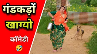 गंडकड़ों खाग्यो 🤣🤣 | Ankita yogi | Rajasthani Comedy | Comedy Video | Funny Video