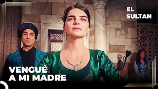 Aprendí De Mi Madre Cómo Derrotar A Los Enemigos | El Sultán