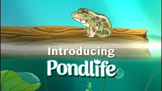 What is Pondlife? A Cozy Fish Game!