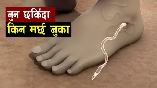 यी हुँन बिश्वका अनौठा वस्तुहरु