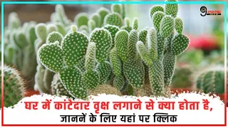 घर में कांटेदार पौधा लगाने से क्या होता है ?, नहीं जानते हैं तो जान लें
