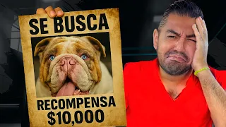Mi perro se fue de la casa 😩🐶🐾