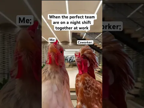 #memesdaily #funny #memeshorts #memesvideo #memes #memestagram
