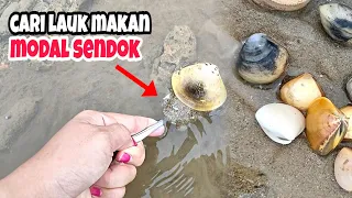 Pergi ke pantai bawa sendok, cari kerang untuk makan siang
