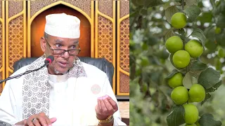 Faa'iidooyinka ku jira Caleenta Iyo Lafta Gobka ah iyo Xanuunada ay dawada ka yihiin Sh.Maxamed