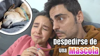 Decir Adiós a una Mascota !! Tenemos que tomar una decisión muy difícil...
