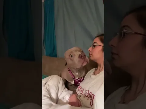 El Perro Descubre que su Dueño Puede HABLAR 😂