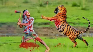 Tiger Attack man in the Forest |  Tiger attack | Royal Bengal Tiger attack ,Tiger Attack in Jungle