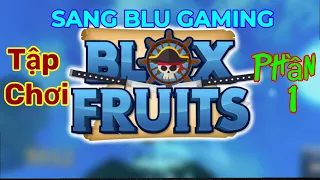 Tôi Tập Chơi Blox Fruit ( Phần 1 )