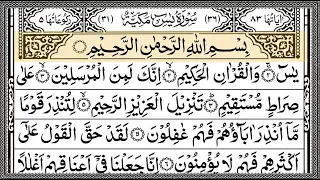 Surah Yaseen Surah Ar Rahman | Best Quran Recitation | Surah Yasin Tilawat | Episode_002