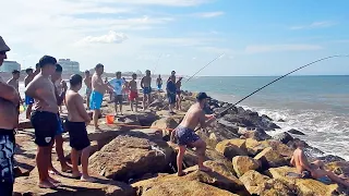 IMPRESIONANTE PESCA DE UN EJEMPLAR DE MÁS DE 15 KG