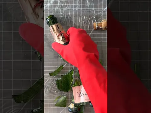 broken champagne bottle into luxury $$$$ wall art