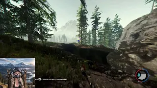 The Forest