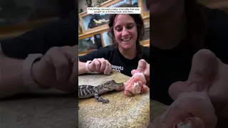 Heartwarming Animal Rescue Stories... #animals #lovestory #rescue #animalrescue #heartwarming