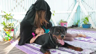 عشة الحمام المسكونه .. 🧟‍♂️ !؟؟