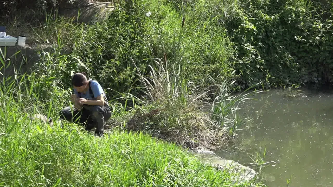 El 9 Informatiu – 17-4-26