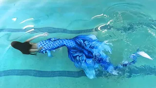 We got a new dragon mermaid tail! Will this one *ALSO* try to drown me? 👀