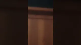Ada Toke lagi diem aja di dinding ga bunyi sayangnya