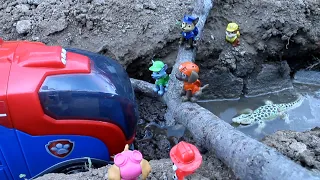 PAW PATROL rescata el PATRULLABUS! Patrulla canina paw patroller cachorros videos coches cars carros