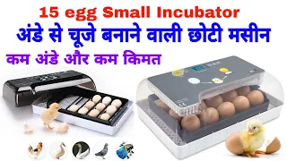 15 egg incubator | 15 अंडो वाला छोटा इनक्यूबेटर | low cost incubator | 7385137018   7385247018