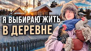 О лечении брошенных животных