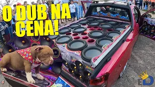MONTANA ROSA E MASCOTE DA LOJA  - EstiloDUB