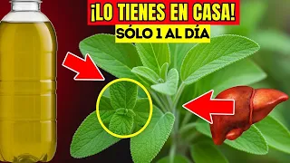 Hoja Milagrosa #1 CONTRA la Diabetes, Colesterol y Grasa Abdominal!