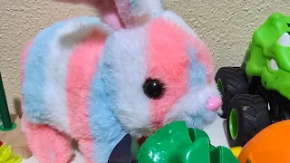 إطعام الارنب الجائع 🐰🐇🍊🍉🍋🍌🍍🍎🥑Feed the hungry rabbit🌰🫘🥜🍄🫚