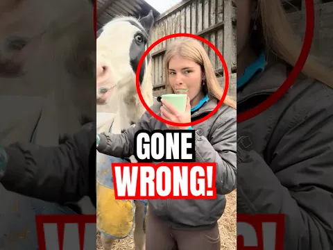 This Horse Treat Trend on TikTok Went Too Far! 😱